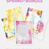 Spring-Bundle